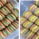 스윗가든 이미지