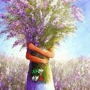 금찬 이미지