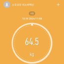 티파니롤김밥 이미지