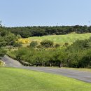 송라제니스컨트리클럽 이미지