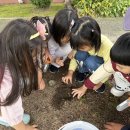 다목초병설유치원 이미지