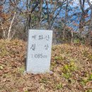 진골가든 이미지