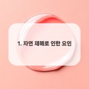 구조관계 이미지