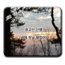 광교산 산행 - 새해 첫날 해맞이 이미지