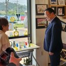 인생학교 봄 이미지