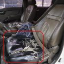 다한모터스 이미지