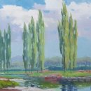 미루나무풍경 이미지