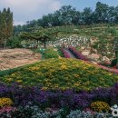 피나클랜드 이미지