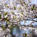 여의서로 이미지