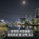 온천천시민공원 백일홍 | 부산 온천천 시민공원 반려견과 밤 산책하기 좋은 곳