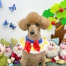 도토리 펫살롱 이미지