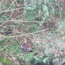 무릉도원면-41 이미지