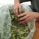 성창농장 이미지