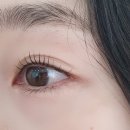 오늘도 눈부시다