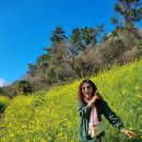 제주기사 | 제주도 쏠라티 대절 비용 알아보고 이용한 기사포함 제주 여행 후기