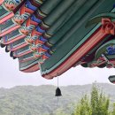 청호노동조합 | [일상] 2025년 10월 상반기: 열흘간의 추석 연휴。