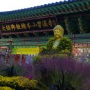 향기가있는풍경 이미지