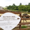 상관목장 이미지