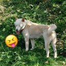 정선베다니자연농장 이미지