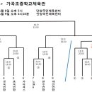 제15회 국민생활체육회장기전국농구대회[대진표 11월8~9일 단양군] 이미지