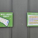 [25번째 캠핑] 인천 강화군 바다노을캠핑장 강화 오션 뷰 캠핑 캠핑존01 후기 | 반려동물동반 1인샤워실