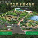 영양산촌박물관 이미지