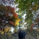 오두돈대 | 강화도 광성보 산책 후기