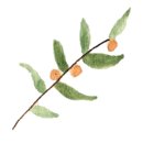 중로(보)1-1-3 이미지