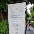 제주도 여행 명소 &#34;카멜리아힐&#34; 힐링하고온 후기
