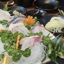 스테이서프픽 | 제주도 1박 2일 여행코스 및 경비 총정리ㅣ메인은 물놀이