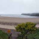 구름포해수욕장카라반 이미지