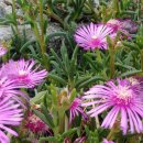 양촌마을 이미지