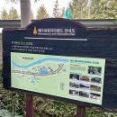 Eco & Healing guest house | 담양 여행 추천 코스: 메타세쿼이아랜드 ‘히어로 하우스’ 딸기찐빵 체험부터 죽녹원 한옥체험장까지