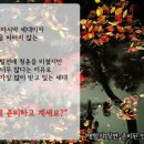 (주)마이구루