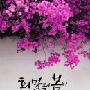 물은 피보다 연해~~~~(해) 이미지