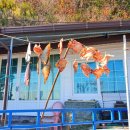 월송정매점 이미지