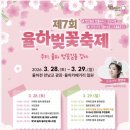 31140-8-28-3 | 부산 근교 벚꽃 명소 : 김해 장유 율하천 율하벚꽃축제 3월 28일 개화상황 실시간 후기