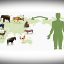 인수농장 이미지