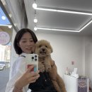 순댕이샵 이미지