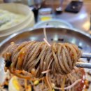 [창원시] 마산회원구 막국수 맛집 봉평신조막국수