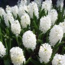 은비유치원 이미지