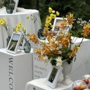 [가든웨딩] 25.05.10 의왕 뜰안채2 / 웨딩디렉팅. 웨딩디렉팅업체. 한옥웨딩. 레스토랑웨딩. 호텔웨딩...