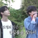 반딧불이 캠핑장 이미지