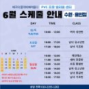 프로발리볼센터 이미지