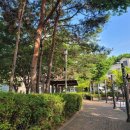 무지개어린이공원 이미지