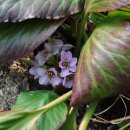 안이하우스 이미지