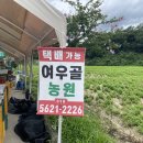 순흥농원 이미지