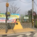 횡단보도옐로카펫 이미지