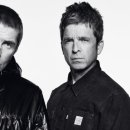 오아시스 이미지