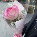 육회바른연어 가양역점 | 여기는 초밥맛집인가 육회바른연어 가양역점